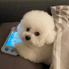 死神千年血战篇角色介绍